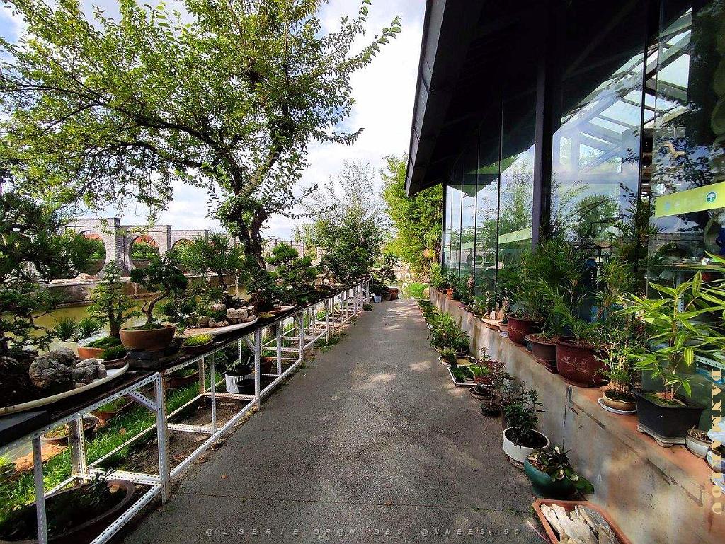 KUNMING - Parc Daguan - 111.jpg